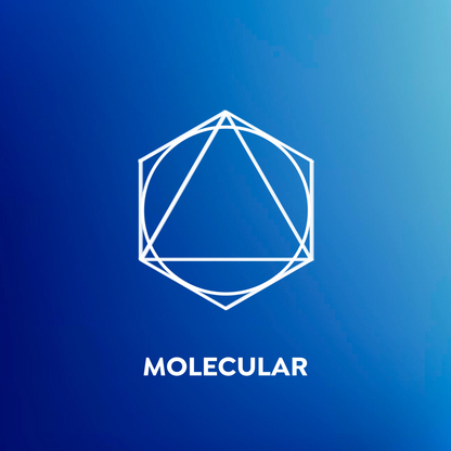 Molecular© 